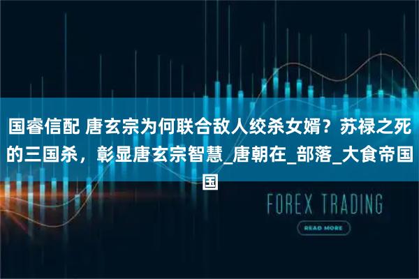 国睿信配 唐玄宗为何联合敌人绞杀女婿？苏禄之死的三国杀，彰显唐玄宗智慧_唐朝在_部落_大食帝国