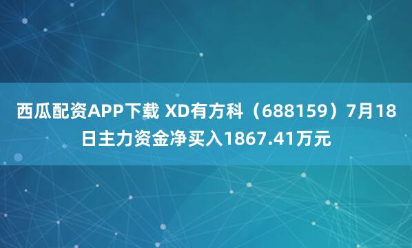 西瓜配资APP下载 XD有方科(688159)7月18日主力资金净买入1867.41万元