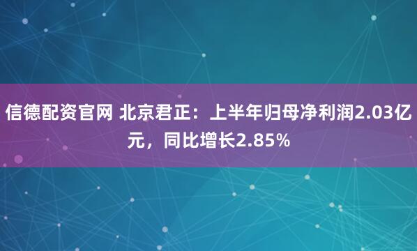 信德配资官网 北京君正：上半年归母净利润2.03亿元，同比增长2.85%